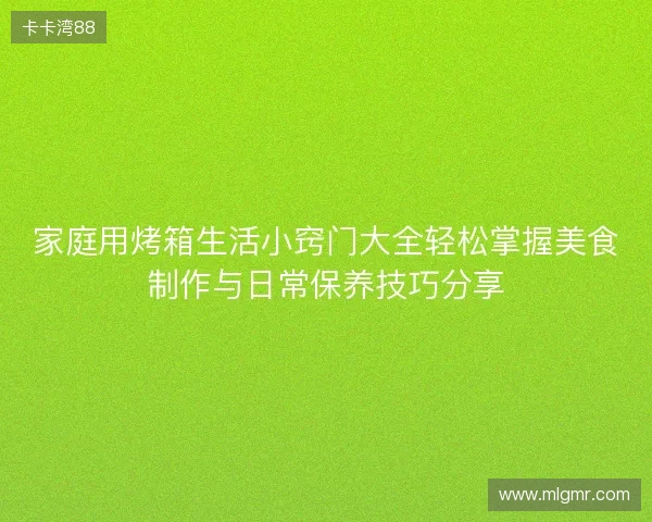 家庭用烤箱生活小窍门大全轻松掌握美食制作与日常保养技巧分享
